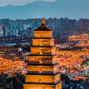 75528d0c-b18e-485d-98a0-58e21c8b8569